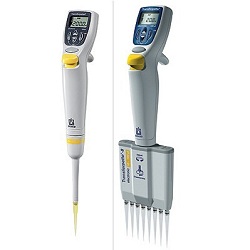 ���m��Brand